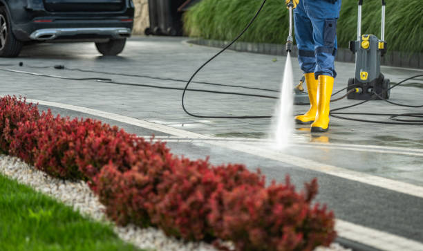 Animal Enclosure Cleaning in Owings, MD